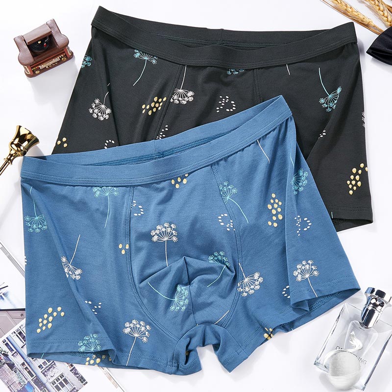 2815#【K】卡杜夫